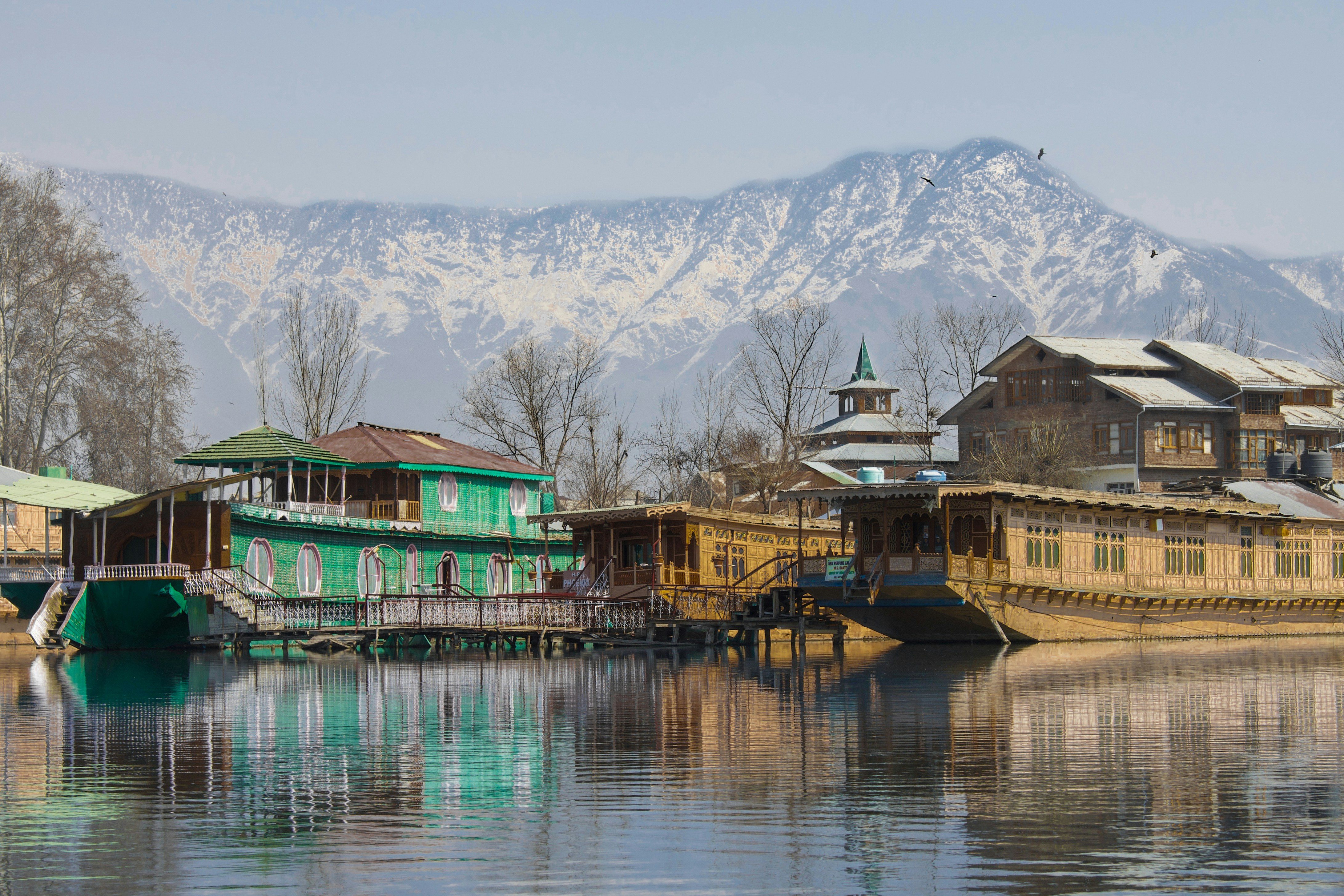 Kashmir – Summer Bloom