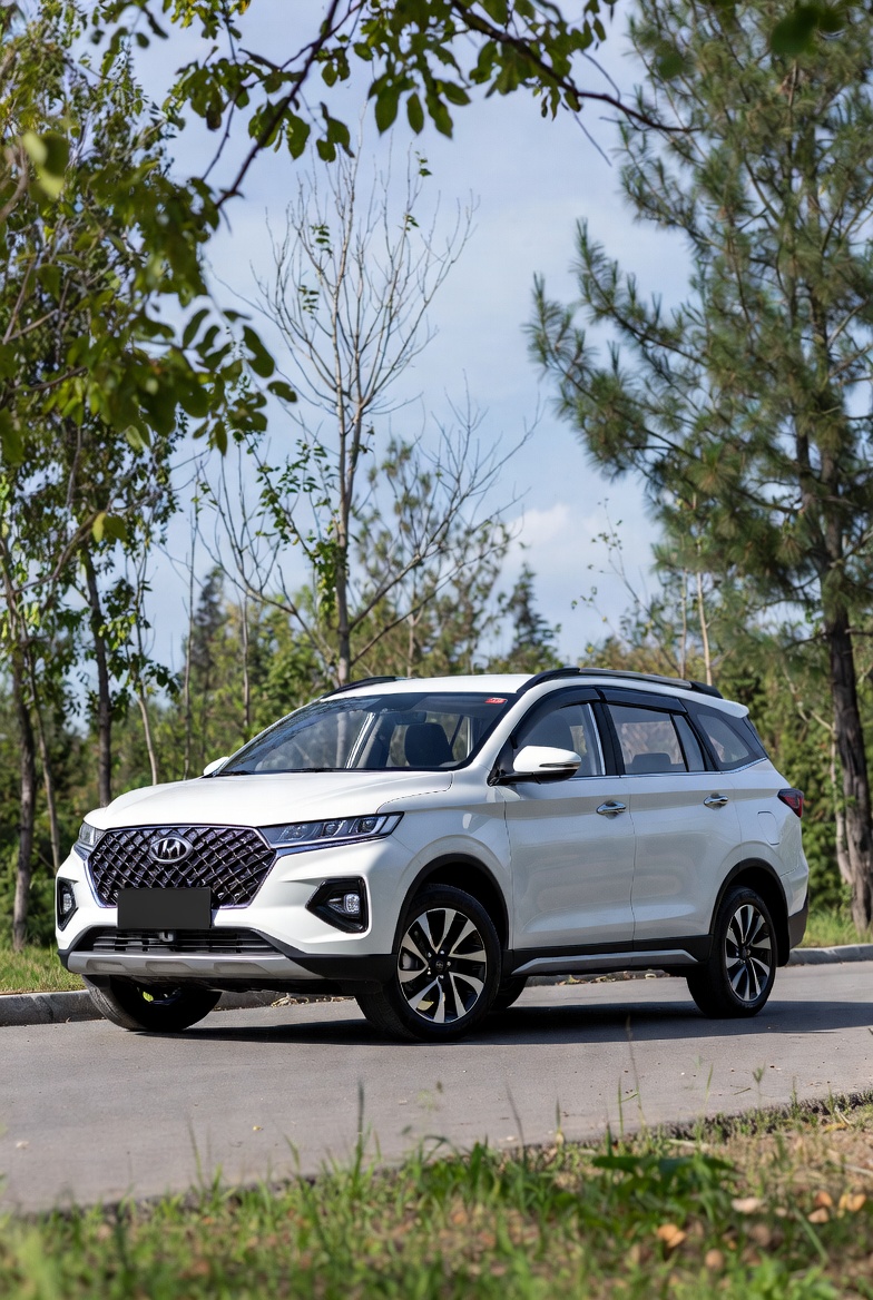 Vehicle Rental view 5